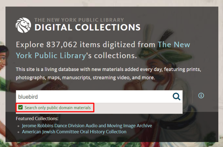 The New York Public Library Digital Collections