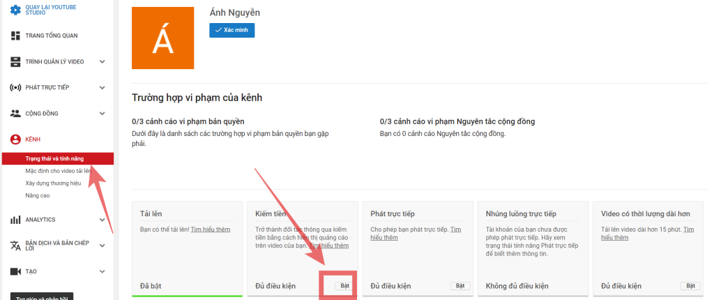 Bật kiếm tiền để có thể kiếm tiền từ YouTube