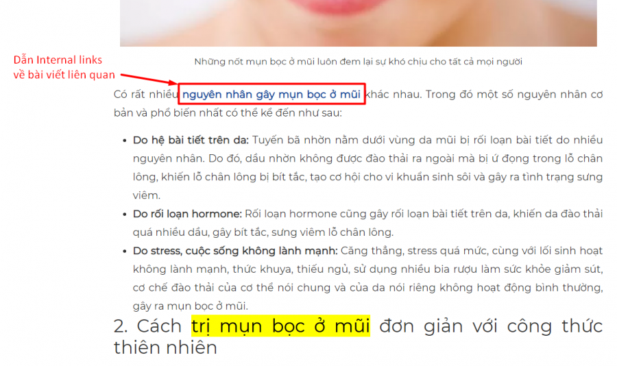 Bài viết chuyên môn, kiến thức chuẩn SEO