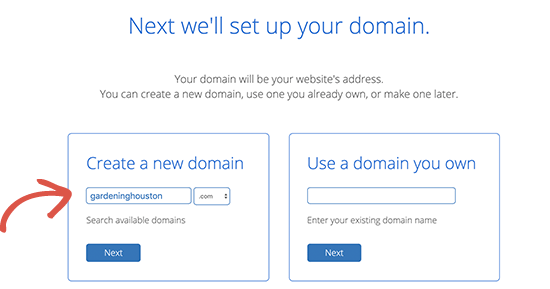 Lựa chọn tên để domain check