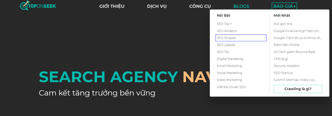 Các thư mục con trong Blog website Toponseek