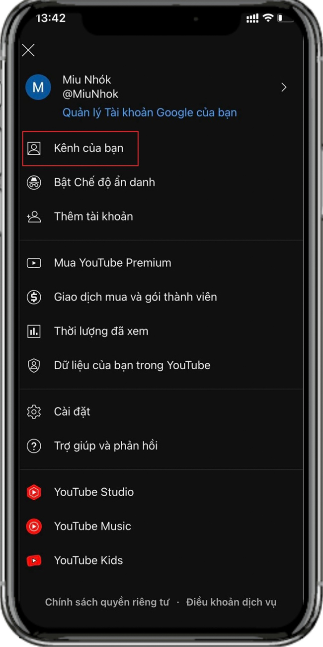 chỉnh kênh Youtube trên điện thoại iPhone