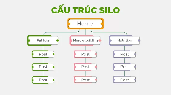 Cấu trúc Silo là gì