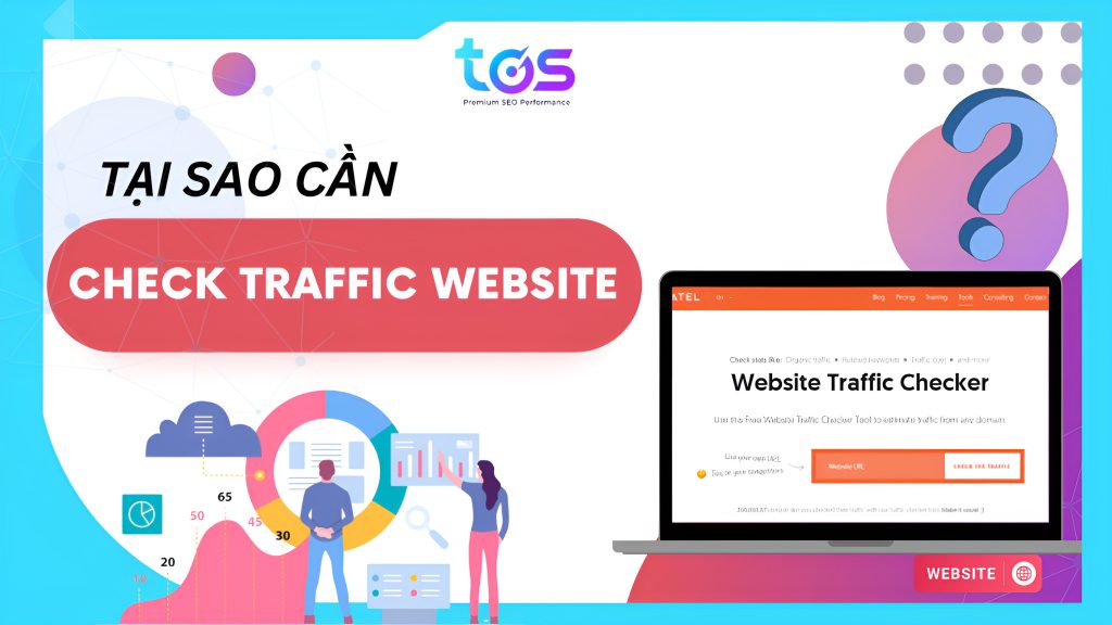 lý do cần check traffic website