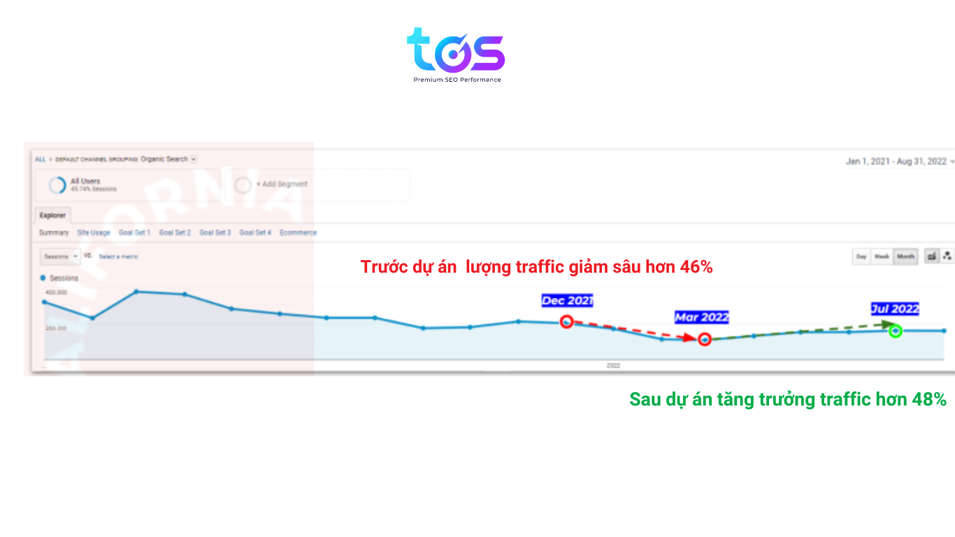 dự án 1 thực hiện dịch vụ SEO 