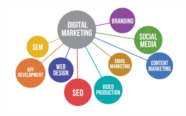 SEO trong digital marketing