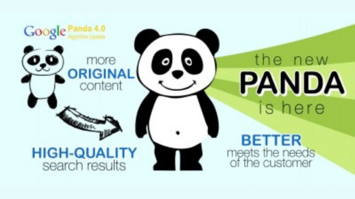 Google Panda đã "tiến hóa" thành Google Coati