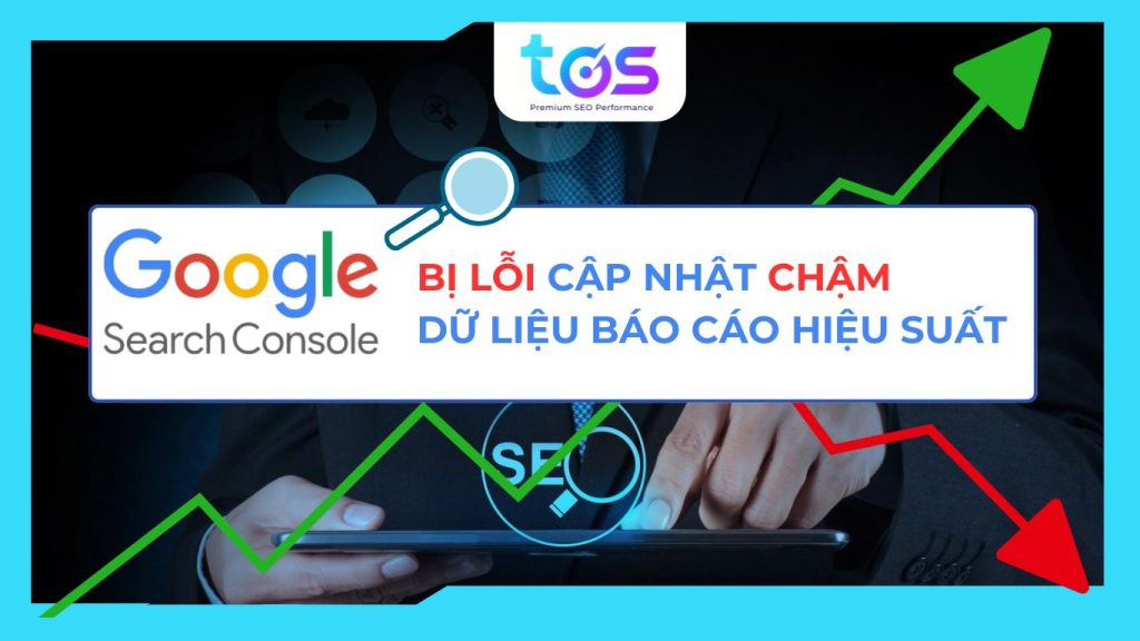 Google Search Console bị lỗi