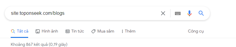 Kết quả số lượng bài viết blogs trên toponseek.com đã được Google index