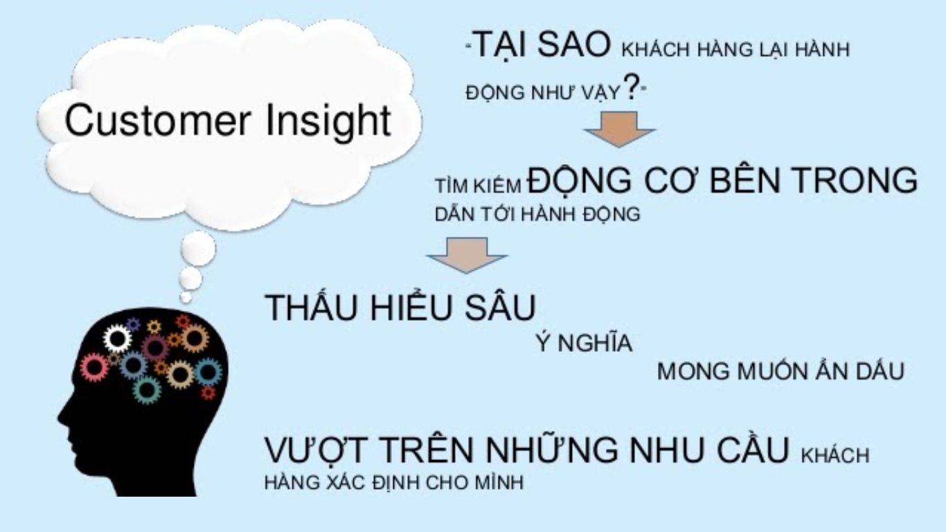 Insight khách hàng