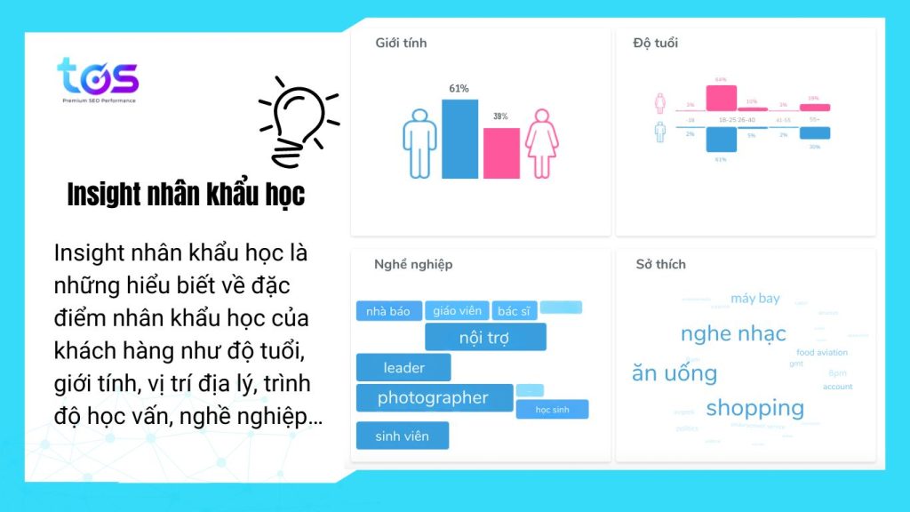 Insight nhân khẩu học