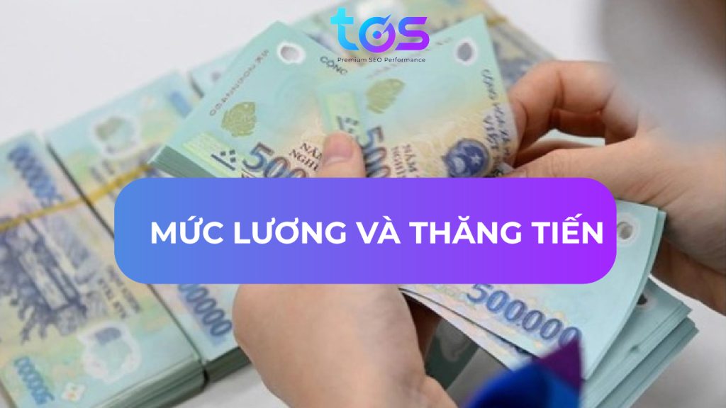 Mức lương và quy trình thăng tiến nghề SEO