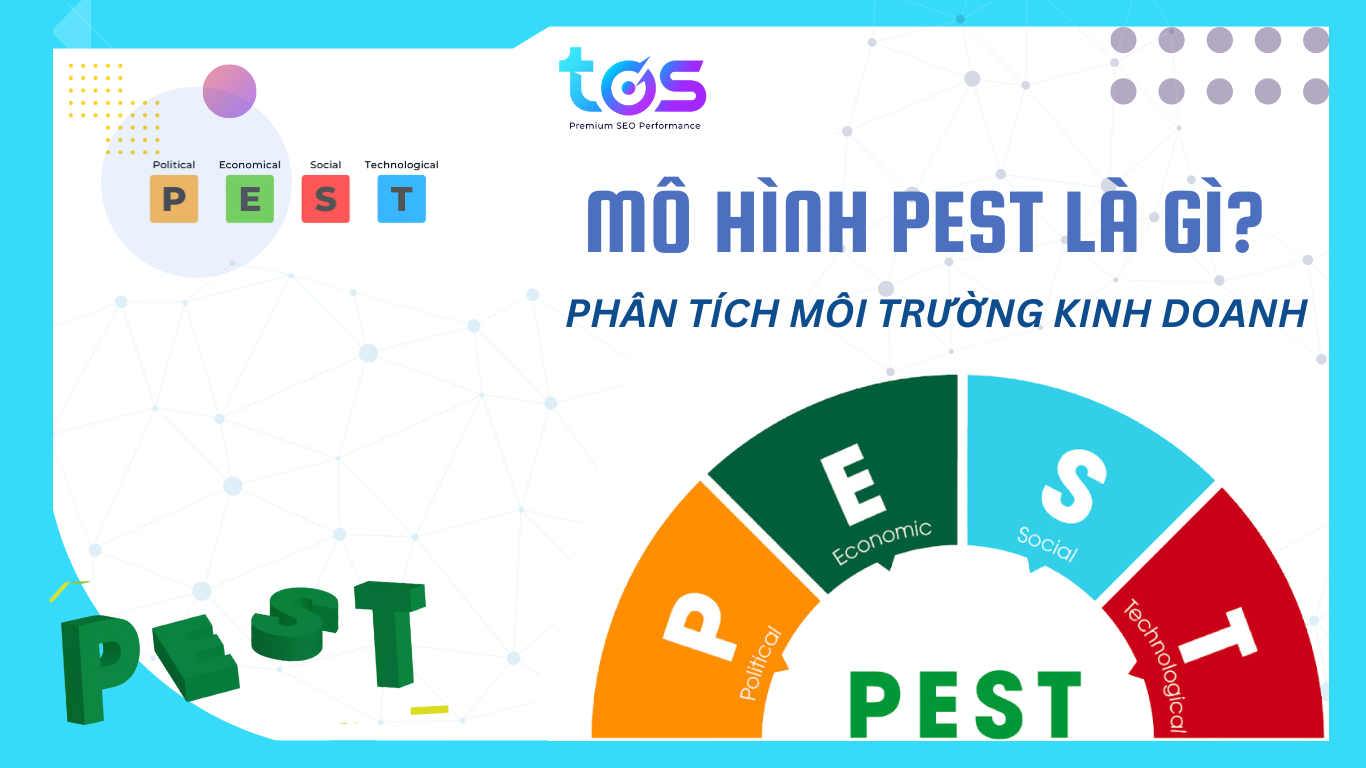 PEST được biết đến với vai trò là công cụ để đánh giá thị trường bên ngoài 