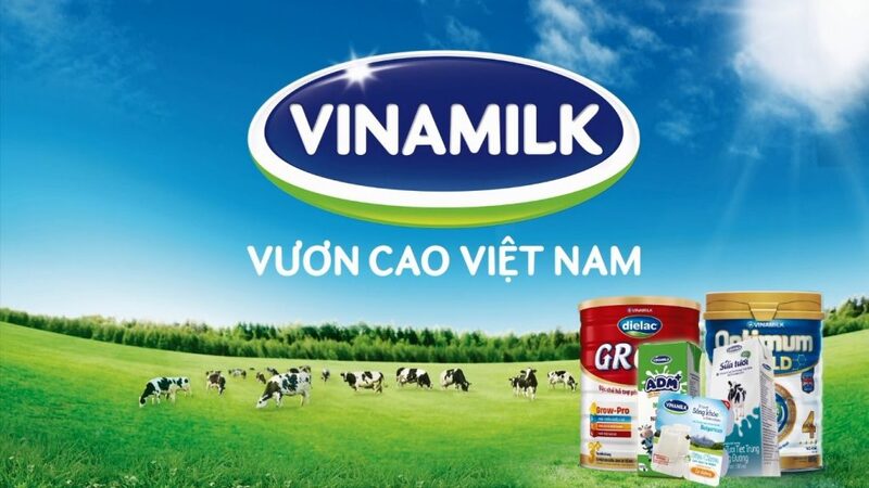 Ví dụ về Vinamilk