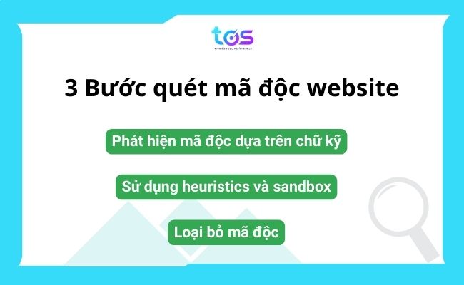 quá trình quét mã độc website gồm 3 bước