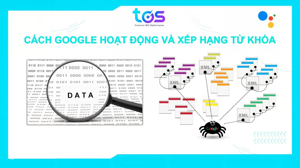 Làm sao SEO từ khóa Google lên Top? Đâu là cách thức Google thu thập dữ liệu? 