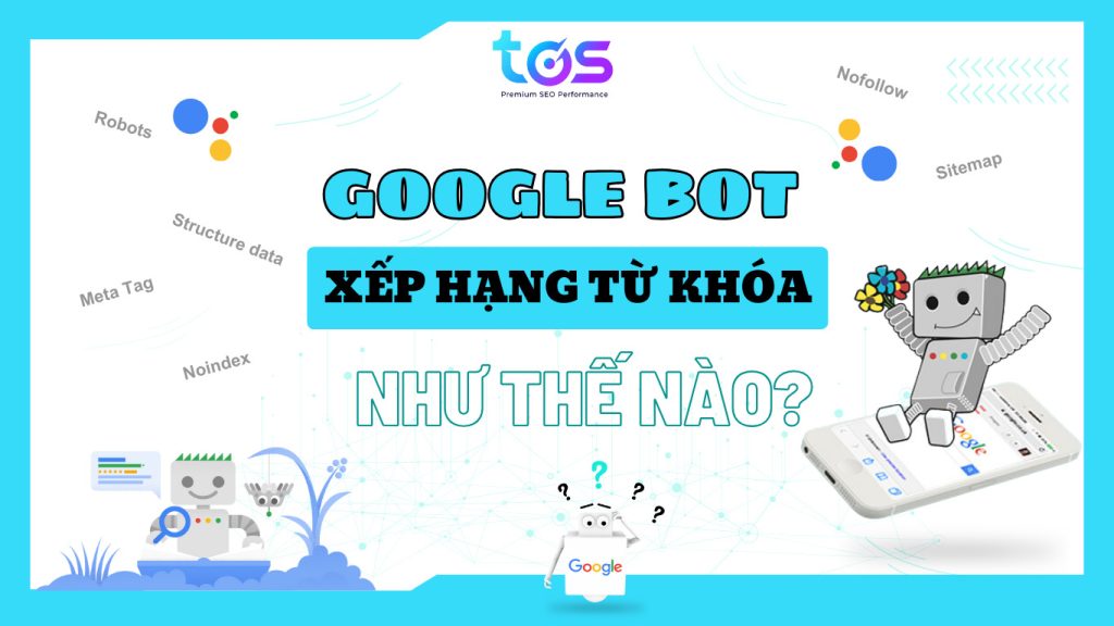 Google Bot thu thập và xếp hạng từ khóa như thế nào?