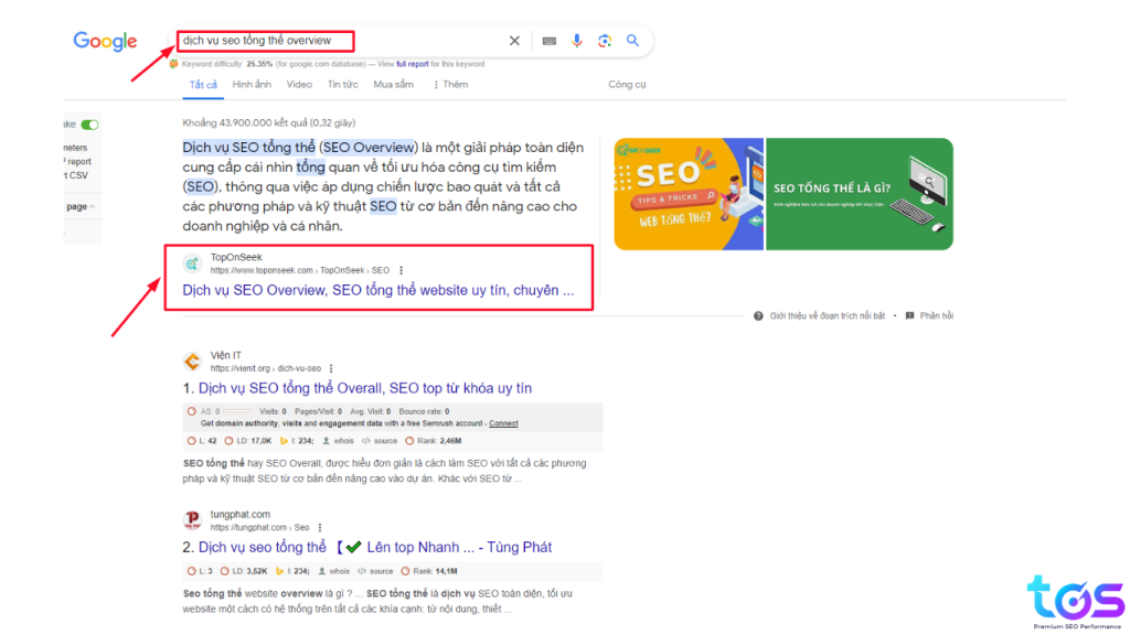 organic traffic hay seo traffic