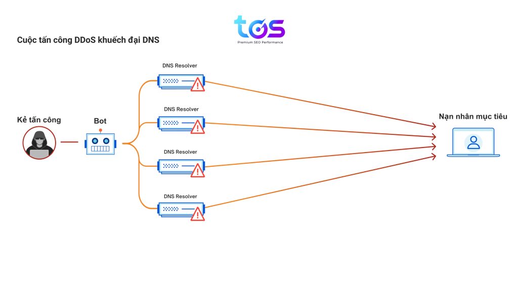 tấn công khuếch đại DNS